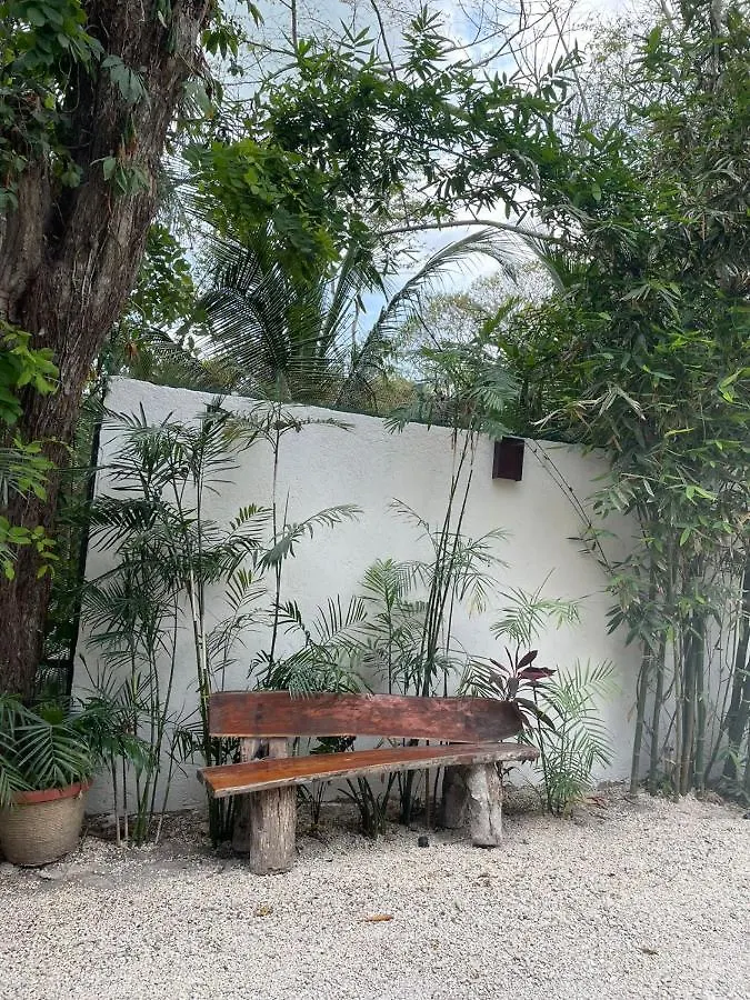 Hotel Diosa Del Agua Bacalar 3*,